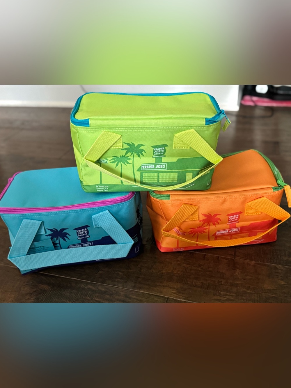 Trader Joes Summer 2026 Mini Insulated Bag Set of 3 Limited Edition